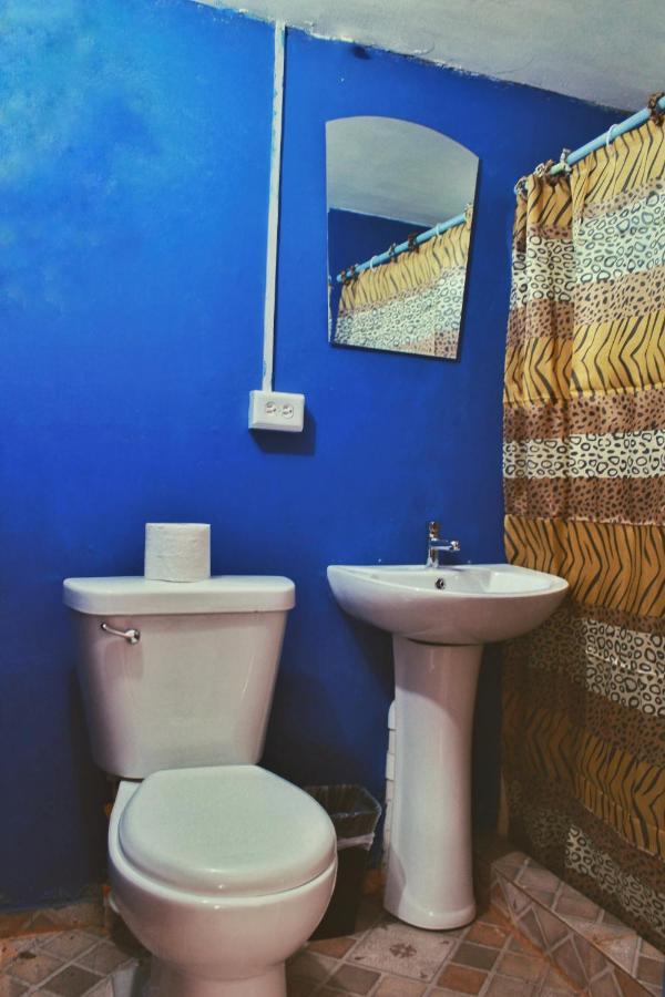 Twin Fin Hostels Bocas Town Bagian luar foto