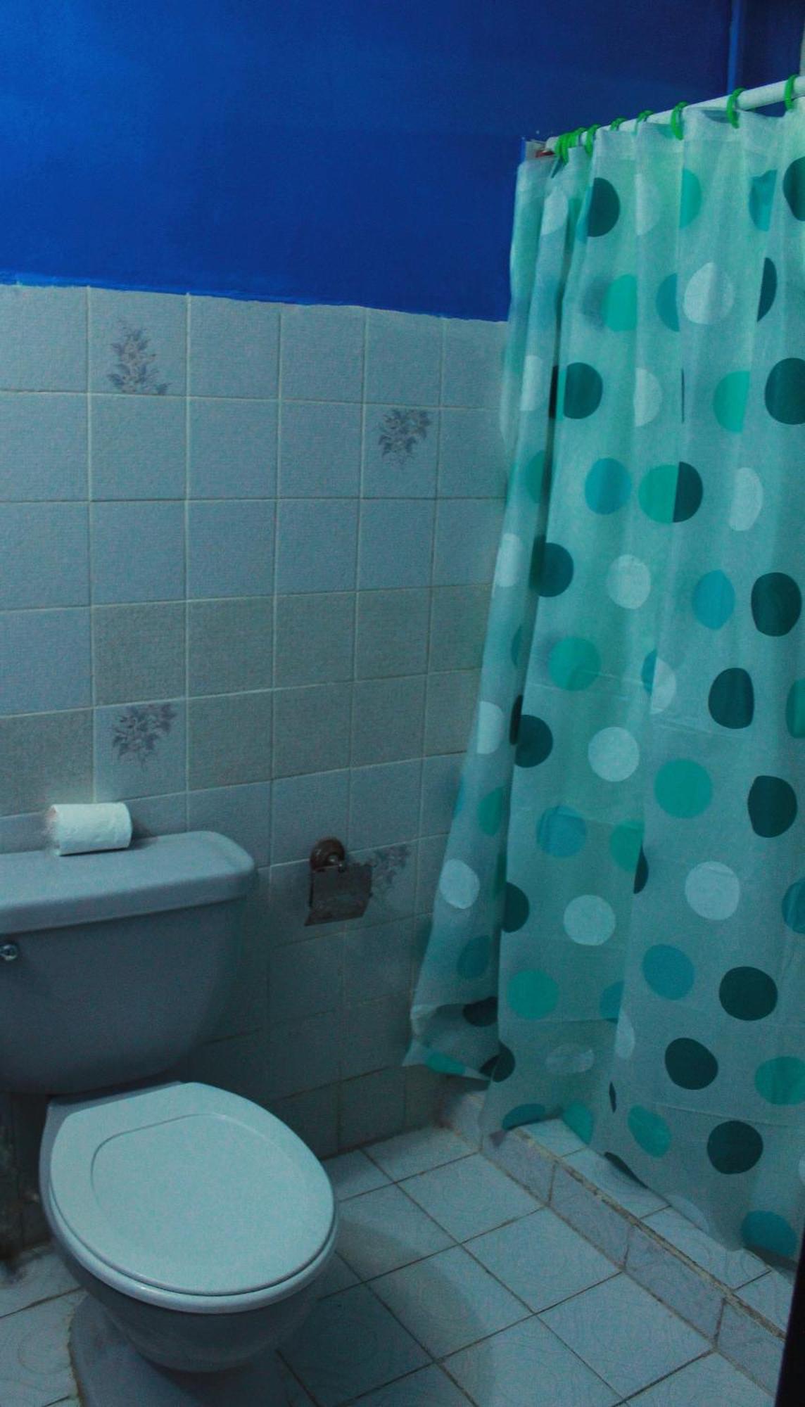 Twin Fin Hostels Bocas Town Bagian luar foto