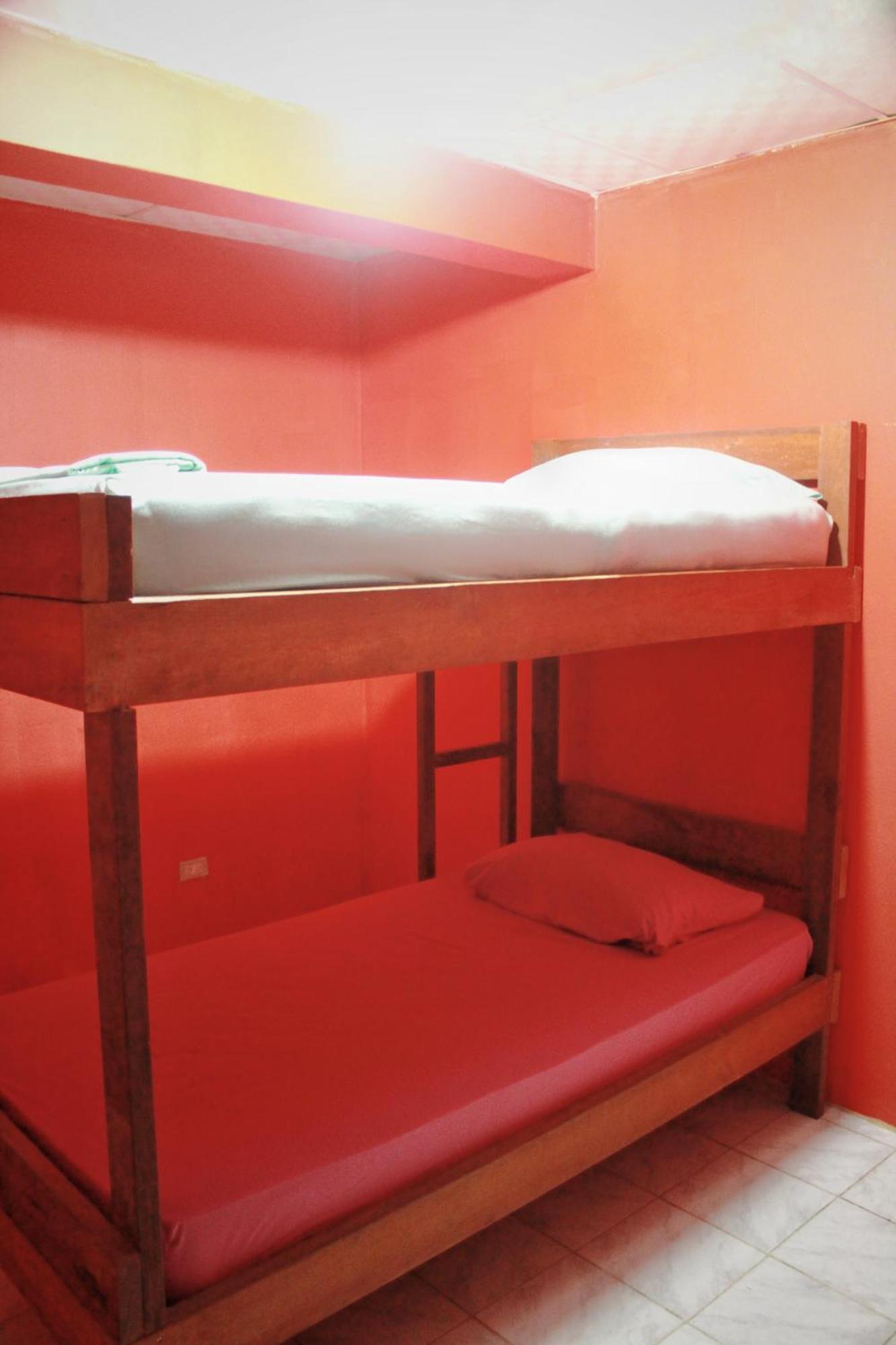 Twin Fin Hostels Bocas Town Bagian luar foto
